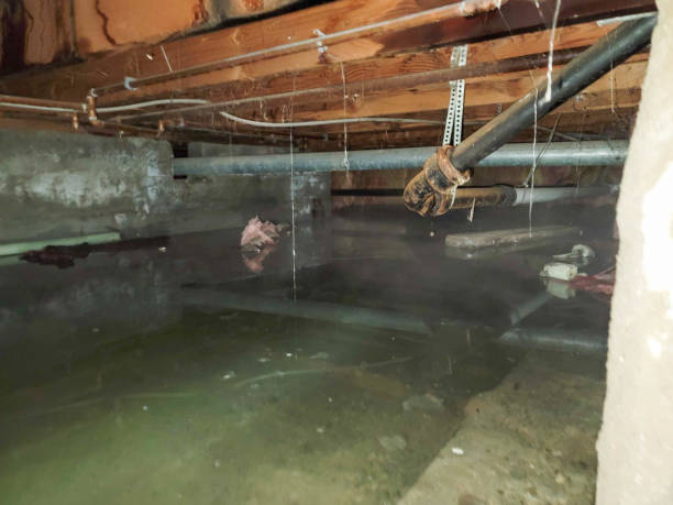Best Water damage restoration near me  in Eureka, KS