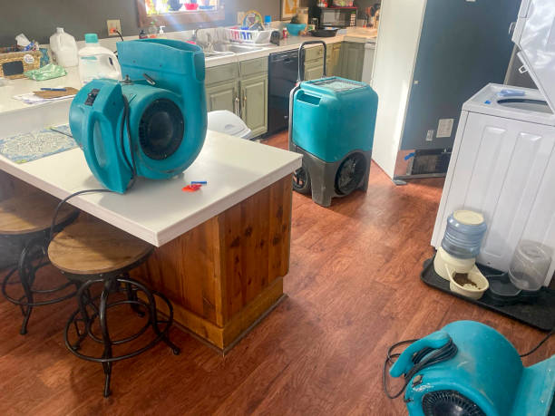 Best Basement water damage restoration  in Eureka, KS
