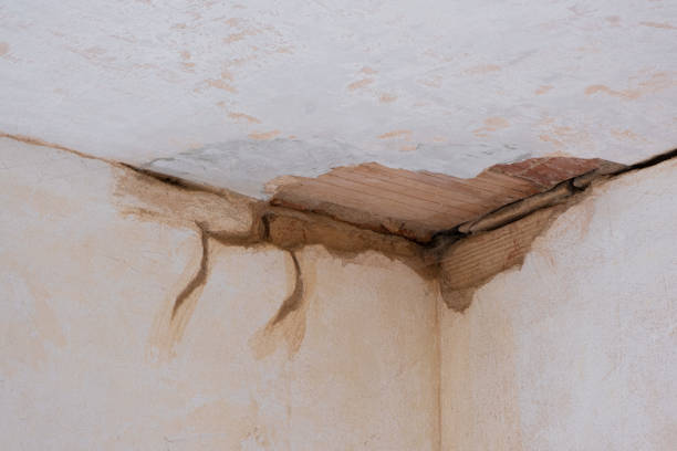 Best Flood damage cleanup  in Eureka, KS