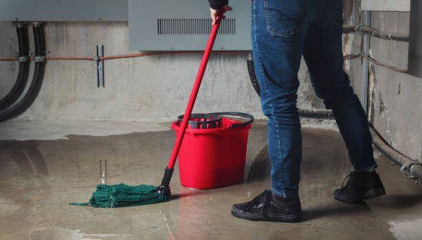 Best Professional water damage repair  in Eureka, KS
