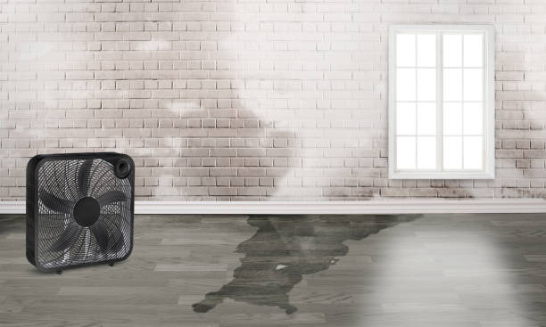 Best Residential water damage restoration  in Eureka, KS