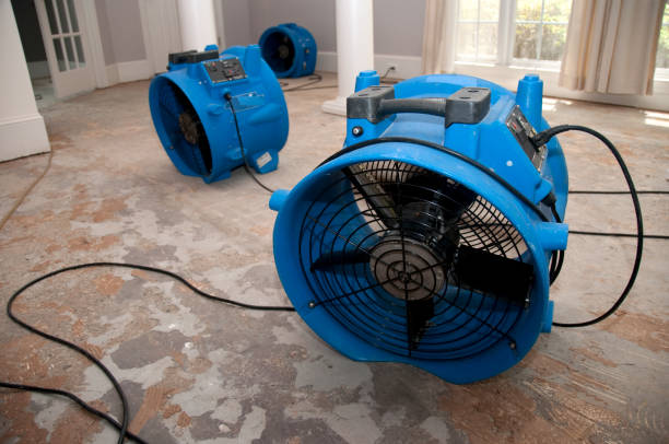 Best Mold removal after water damage  in Eureka, KS