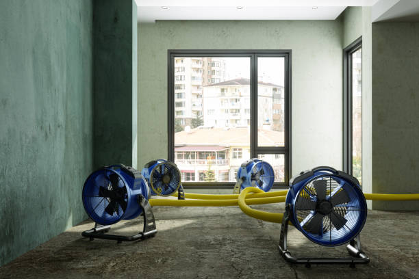 Best Flood restoration services  in Eureka, KS